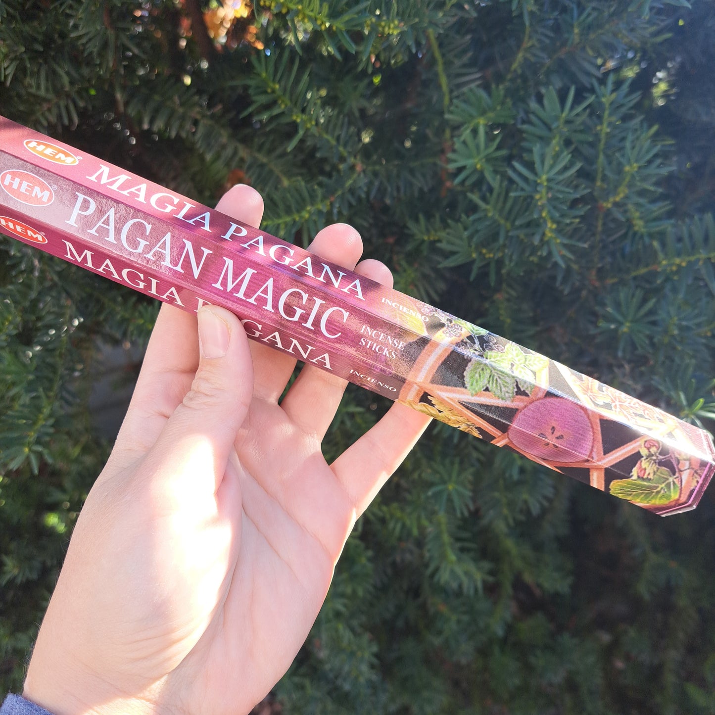 Pagan Magic Incense Sticks pk 20