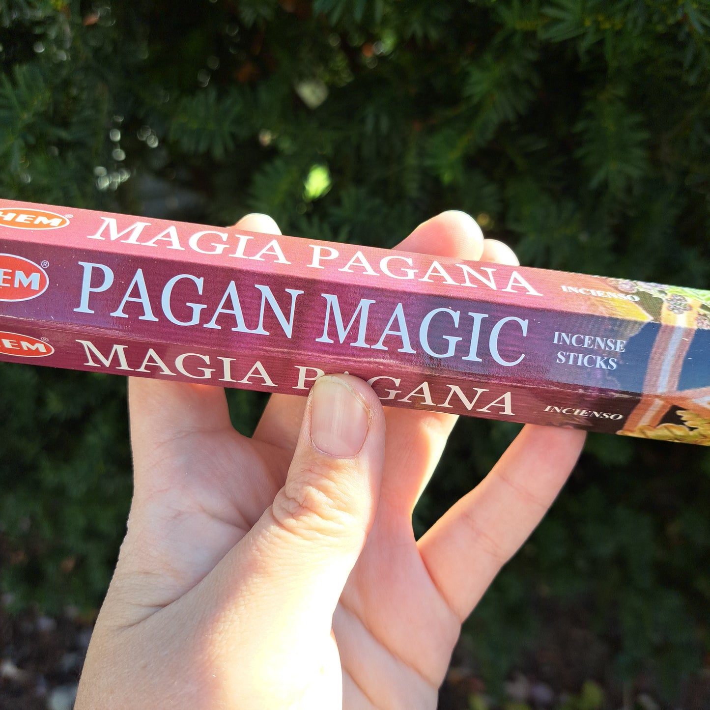 Pagan Magic Incense Sticks pk 20