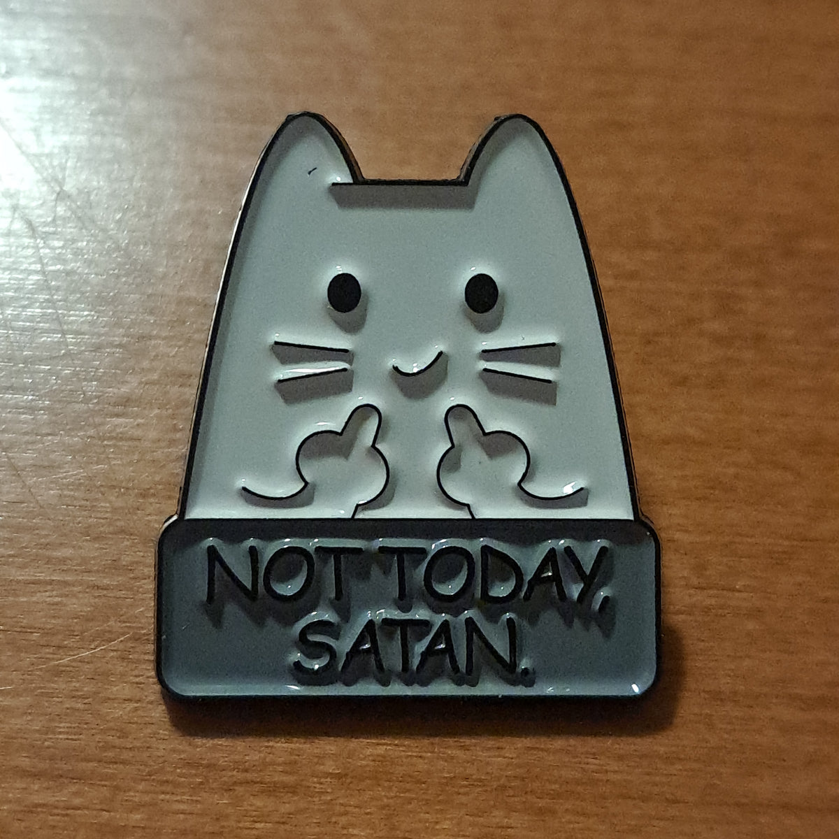 Cat Not Today Satan Pin