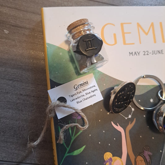 Gemini Custom Chip Bottle