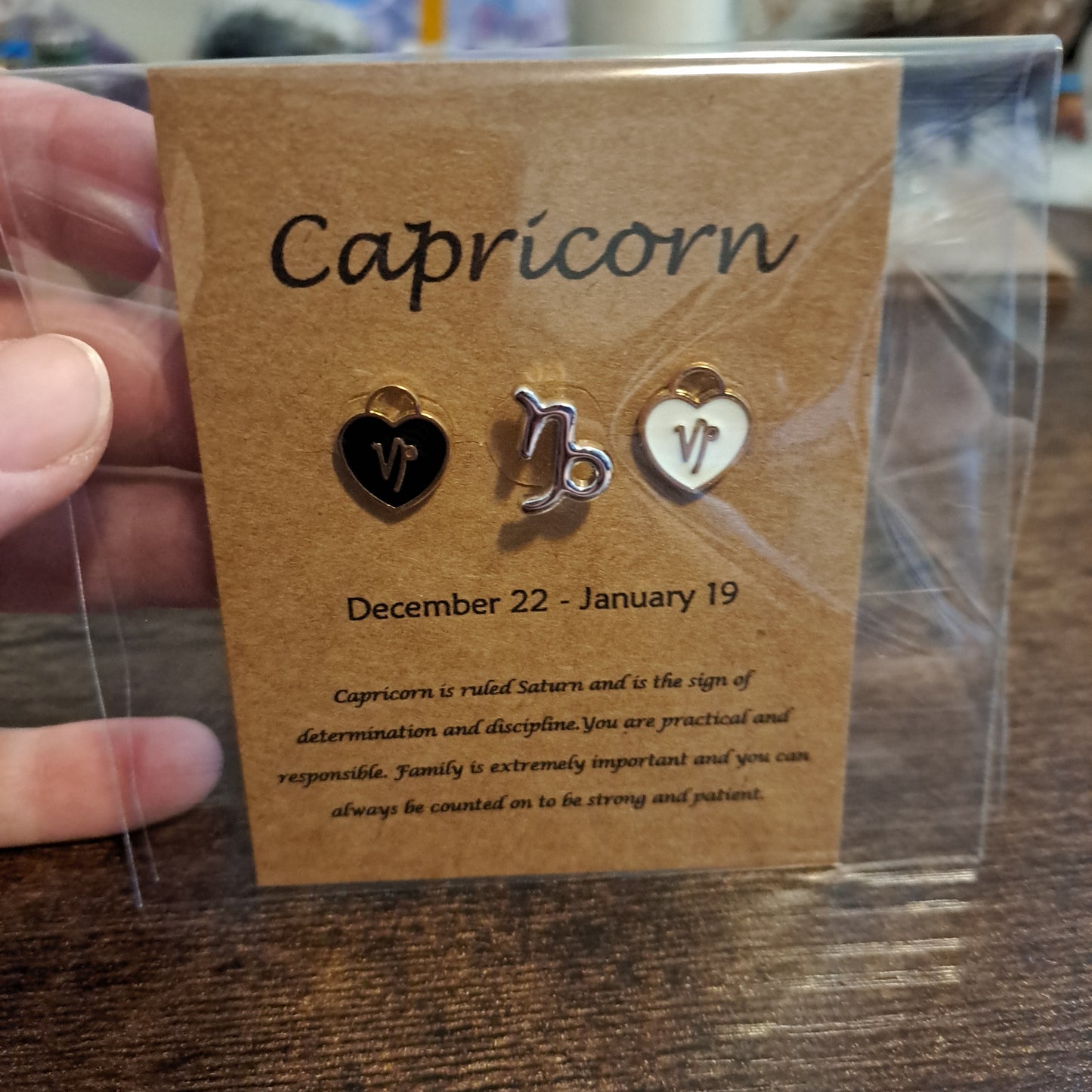 Capricorn Charms