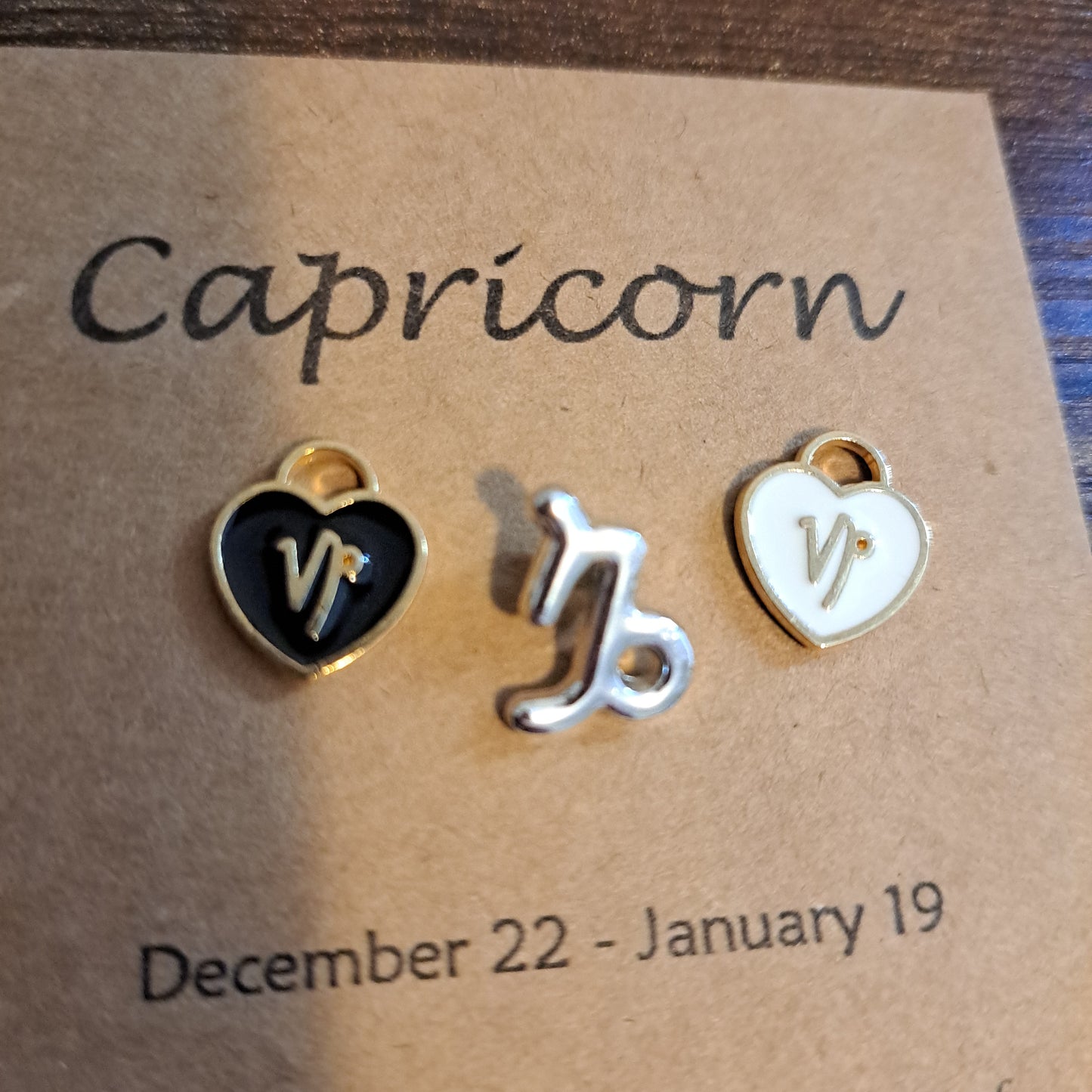 Capricorn Charms