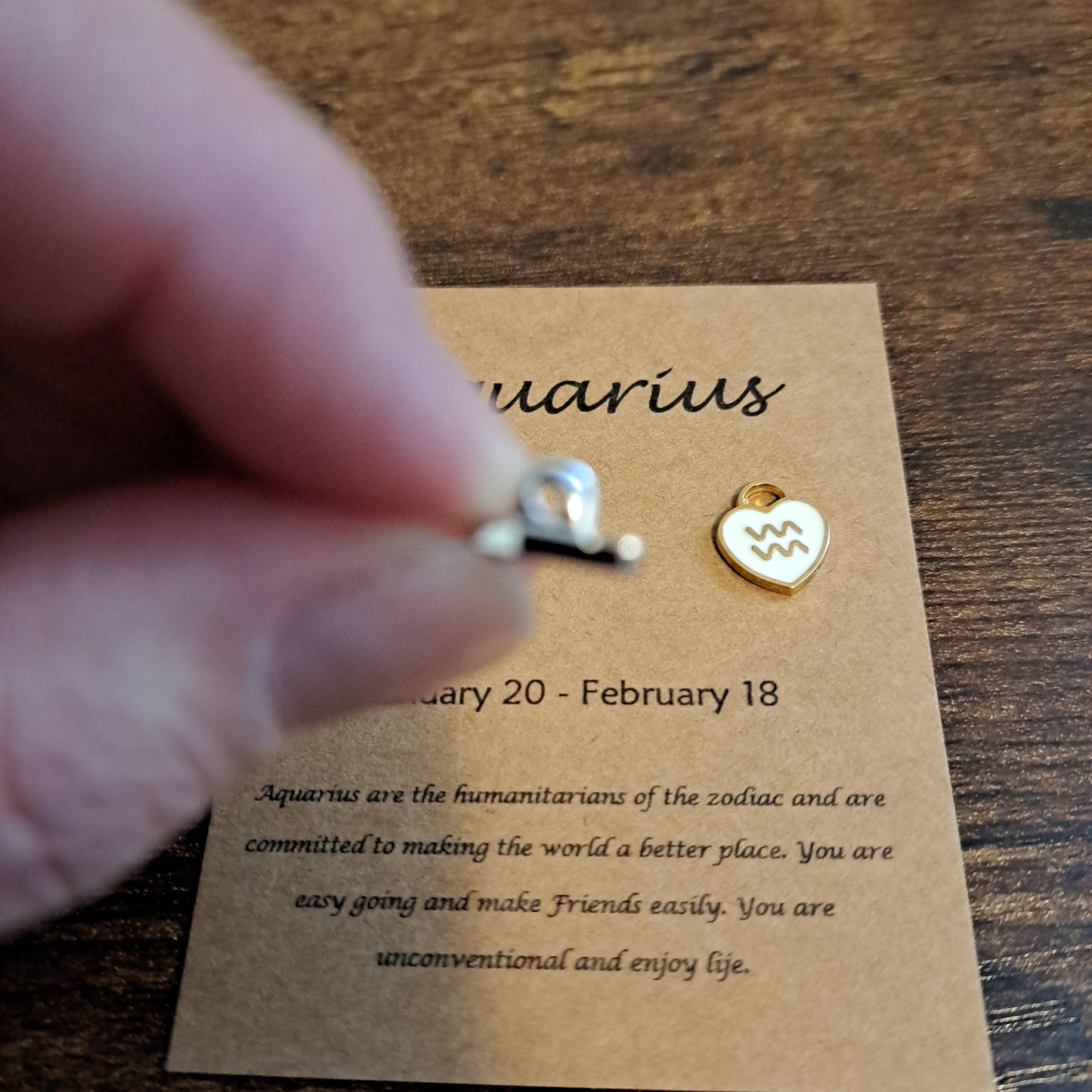 Aquarius Charms