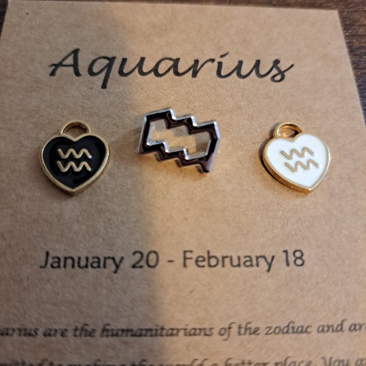 Aquarius Charms