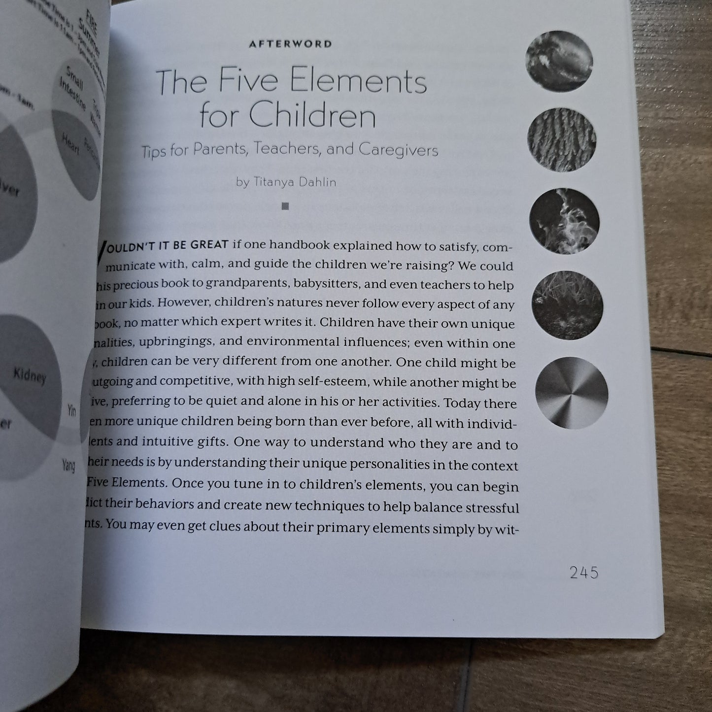 The Five Elements: Understand Yourself and Enhance Your Relationships with the Wisdom of the World's Oldest Personality Type System