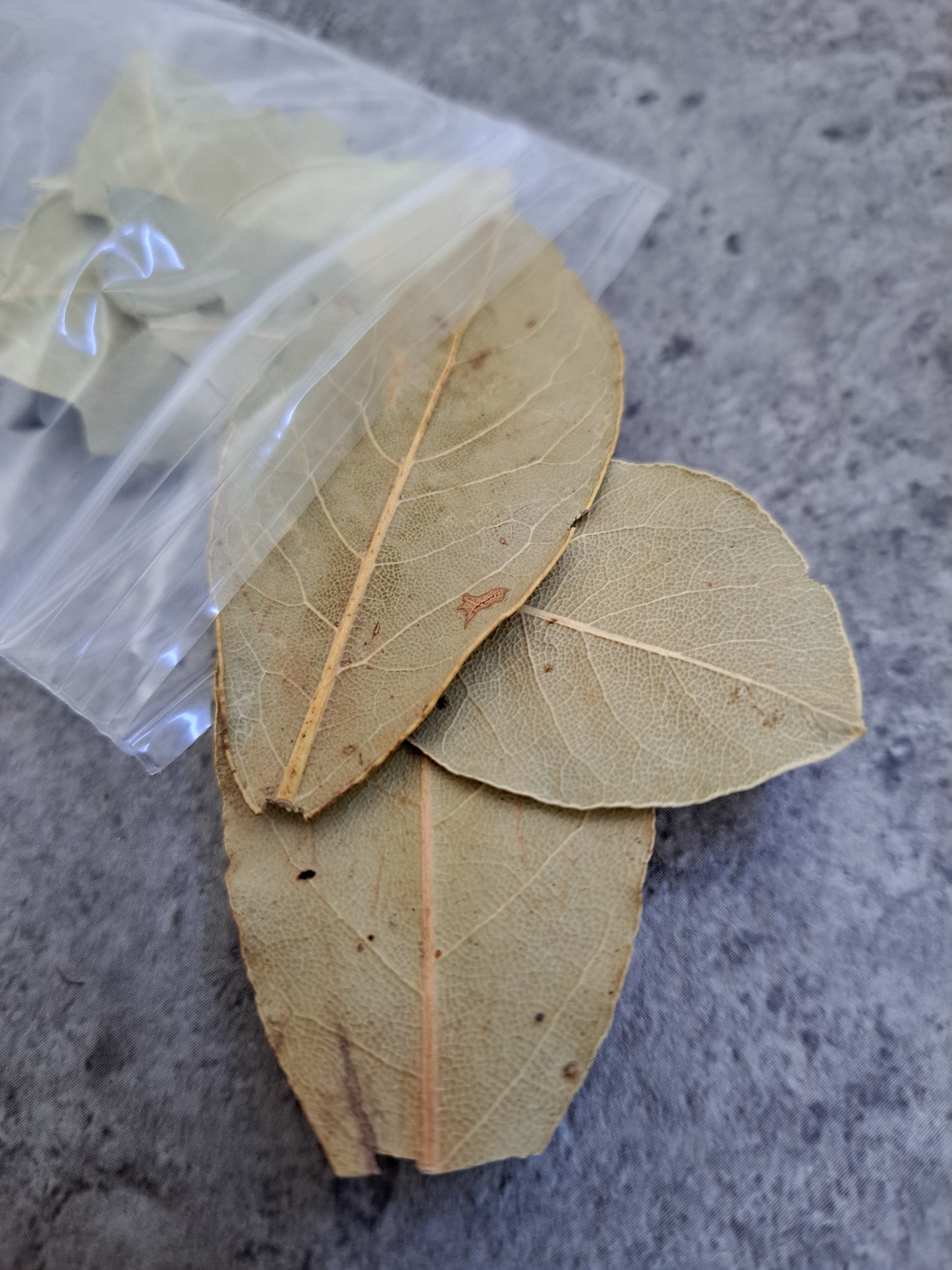 Bay Leaves, 4-6 pack - Magick Herbs (Bagged)