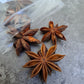 Star Anise - Magick Herbs (Bagged)
