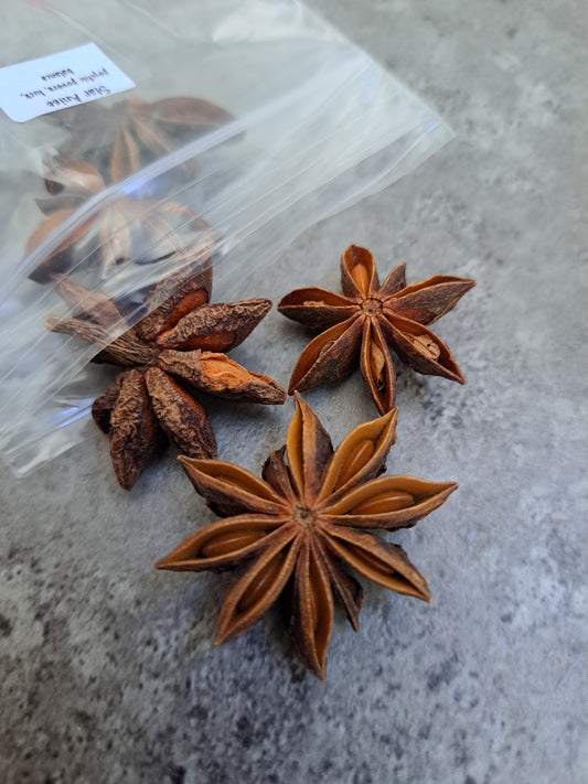 Star Anise - Magick Herbs (Bagged)