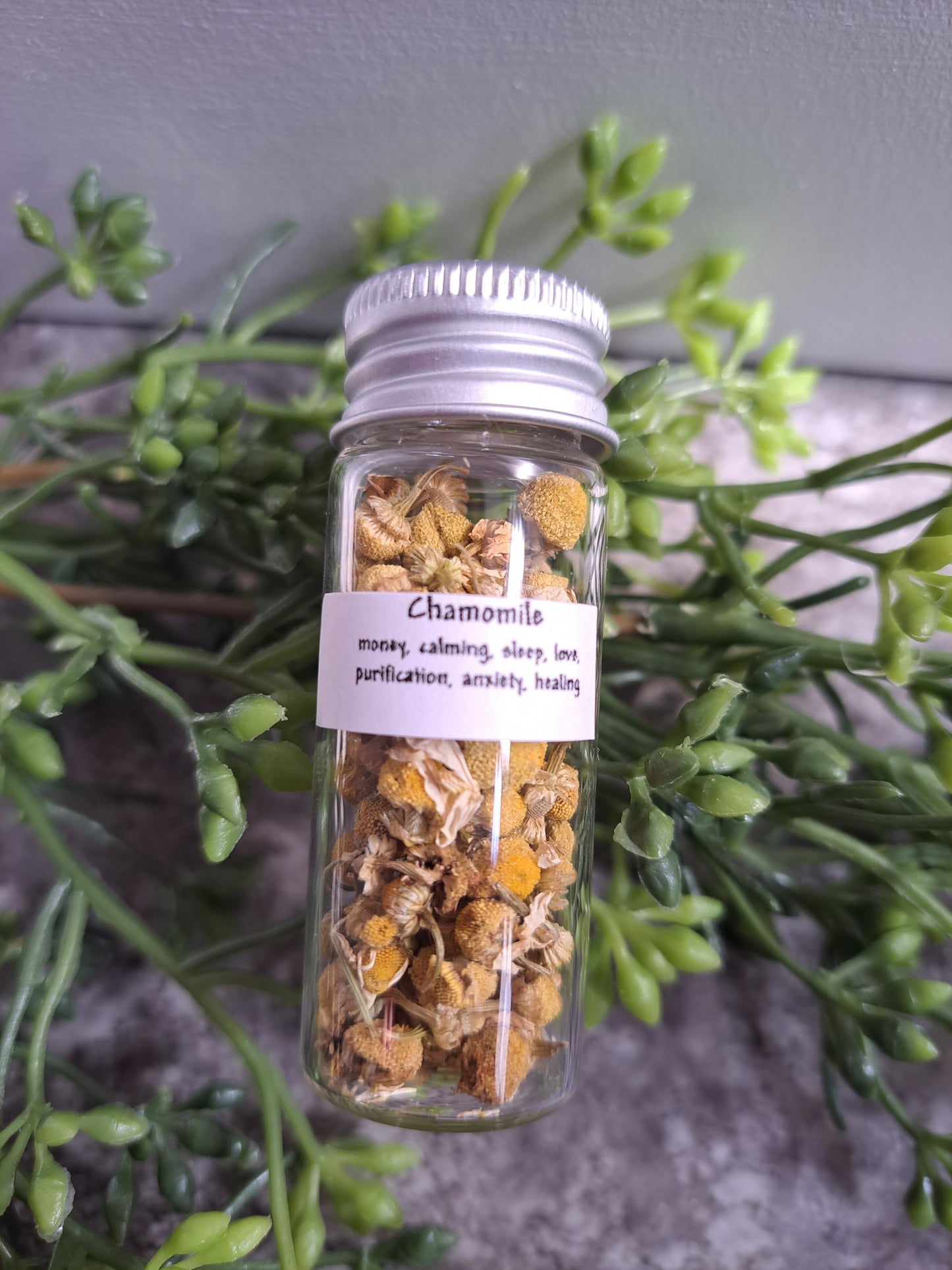 Chamomile - Magick Herbs (Bagged)