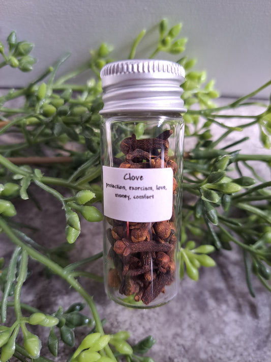 Clove - Magick Herbs (Bagged)