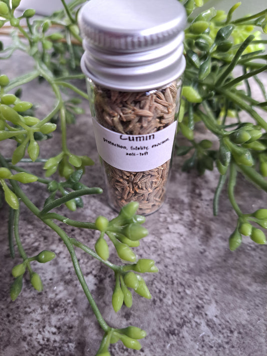 Cumin - Magick Herbs (Bagged)