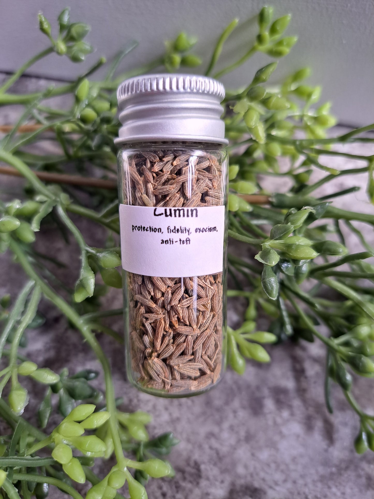 Cumin - Magick Herbs (Bagged)