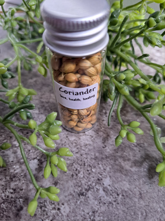 Coriander, whole - Magick Herbs (Bagged)