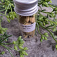 Cardamon - Magick Herbs (Bagged)