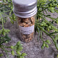Burdock Root - Magick Herbs (Bagged)