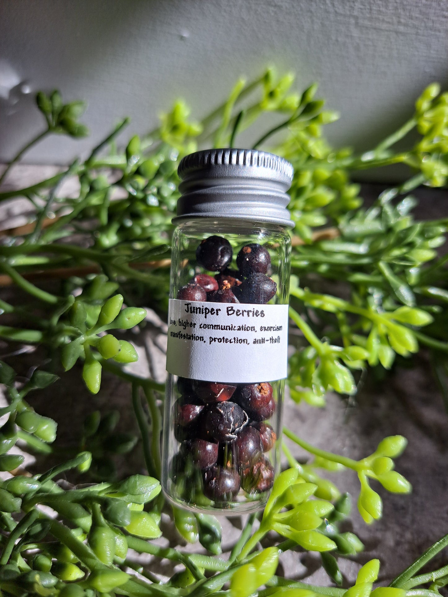 Juniper Berries - Magick Herbs (Bagged)