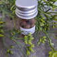 Allspice, Whole - Magick Herbs (Bagged)
