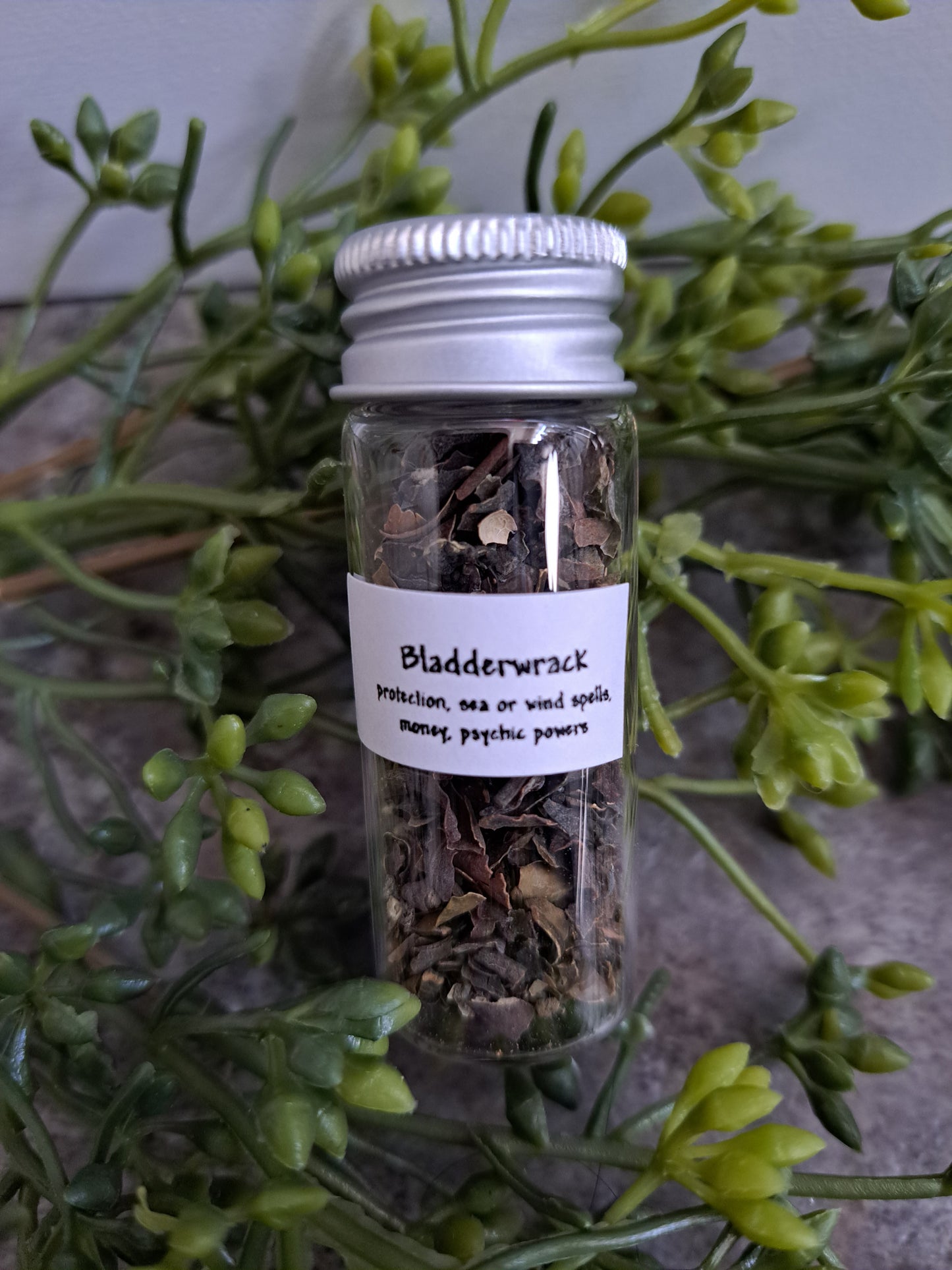 Bladderwrack - Magick Herbs (Bagged)