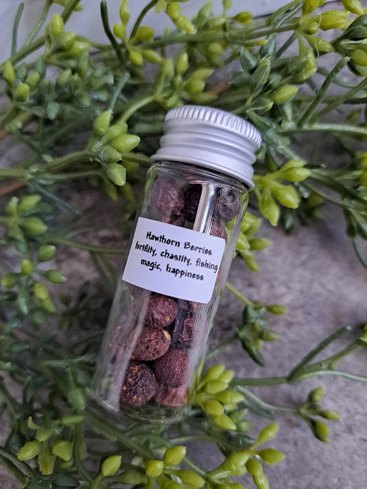 Hawthorn Berries - Magick Herbs (Bagged)