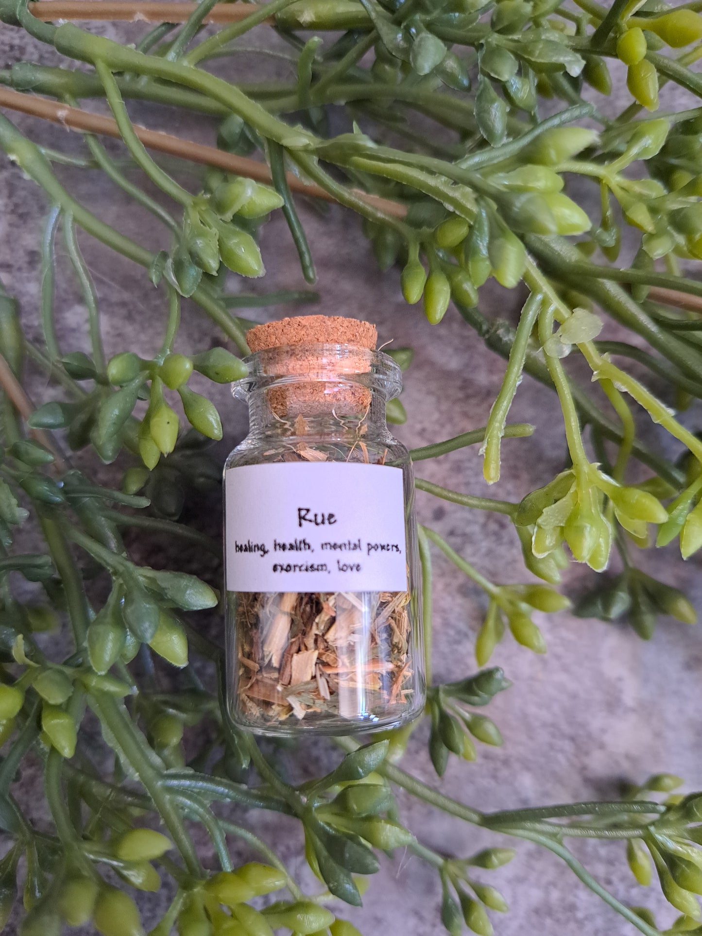 Rue - Magick Herbs (Bagged)