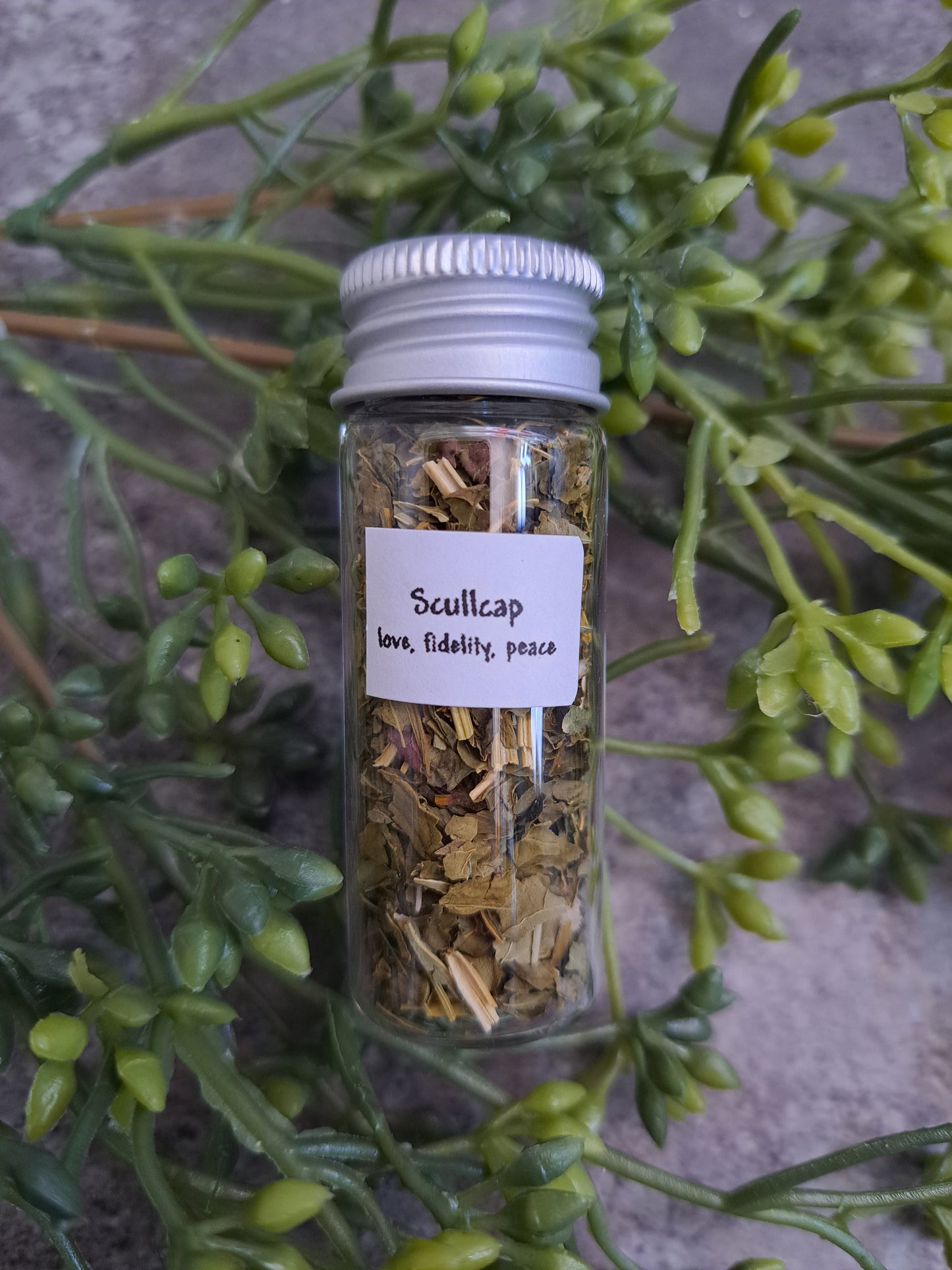 Skullcap - Magick Herbs (Bagged)