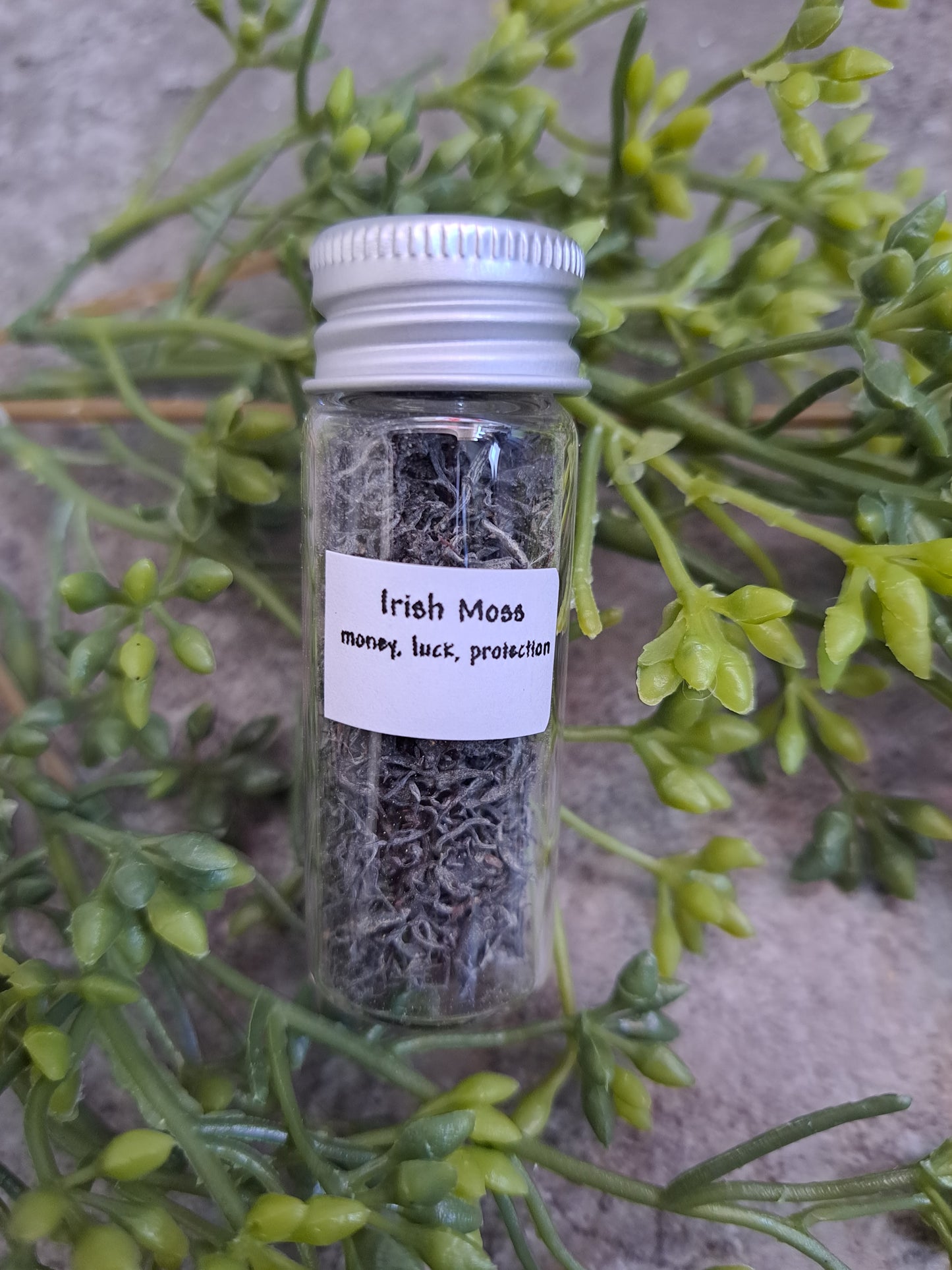 Irish Moss - Magick Herbs (Bagged)