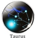 Taurus Bracelet