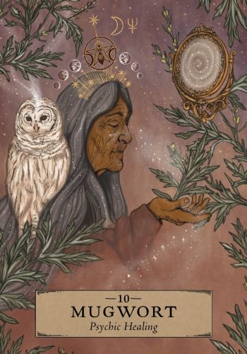 The Herbal Astrology Oracle A 55-Card Deck and Guidebook