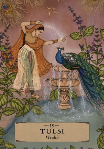 The Herbal Astrology Oracle A 55-Card Deck and Guidebook