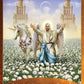 Angel Wisdom Tarot: A 78-Card Deck and Guidebook A 78-Card Deck and Guidebook