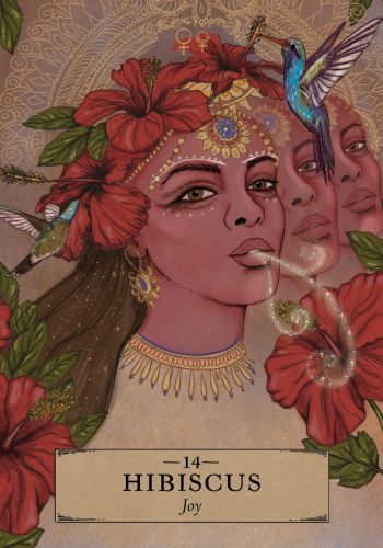 The Herbal Astrology Oracle A 55-Card Deck and Guidebook