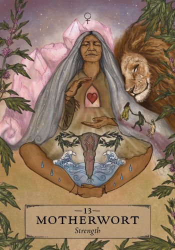 The Herbal Astrology Oracle A 55-Card Deck and Guidebook