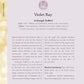 The Angel Bible: The Definitive Guide to Angel Wisdom (Volume 8)