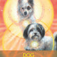 Archangel Animal Oracle Cards: A 44-Card Deck and Guidebook