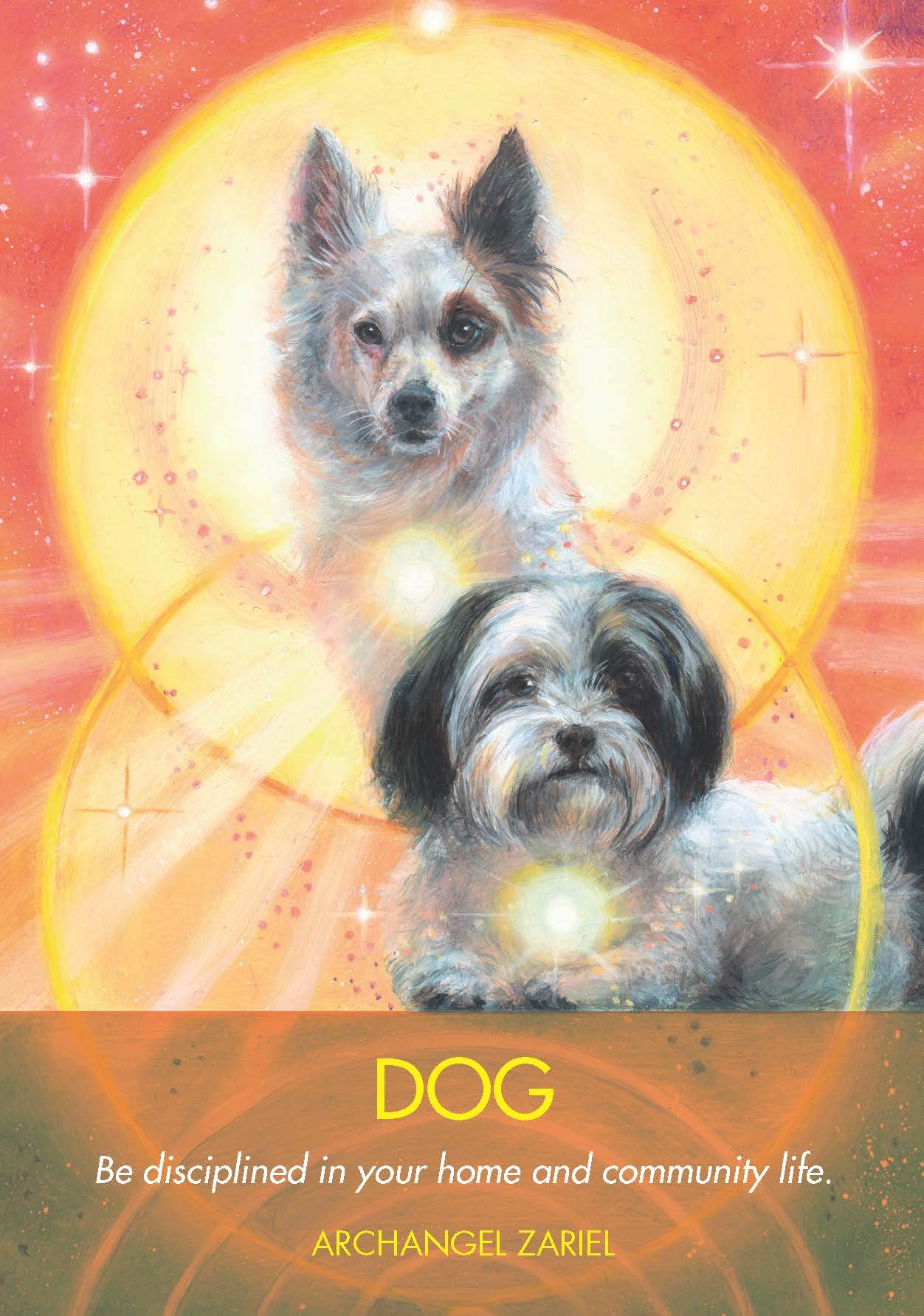 Archangel Animal Oracle Cards: A 44-Card Deck and Guidebook