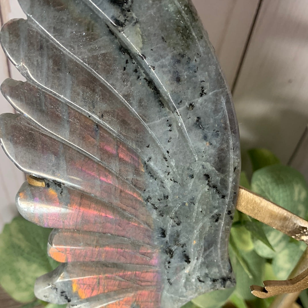 Labradorite Wings XL Angel