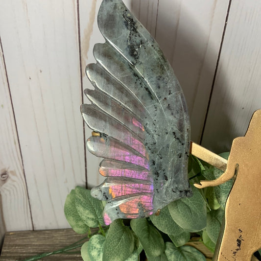 Labradorite Wings XL Angel