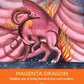 Dragon Oracle - 44 cards & Guidebook