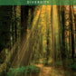 Messages from the Spirits of Nature Oracle - 44 cards and guidebook