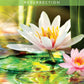 Messages from the Spirits of Nature Oracle - 44 cards and guidebook