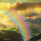 Messages from the Spirits of Nature Oracle - 44 cards and guidebook