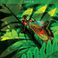 Messages from the Spirits of Nature Oracle - 44 cards and guidebook