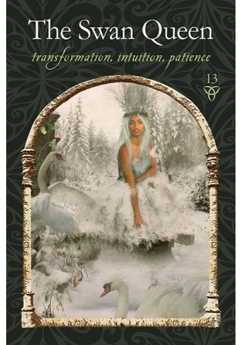 Wisdom of the Hidden Realms Oracle - 44 Cards and Guidebook