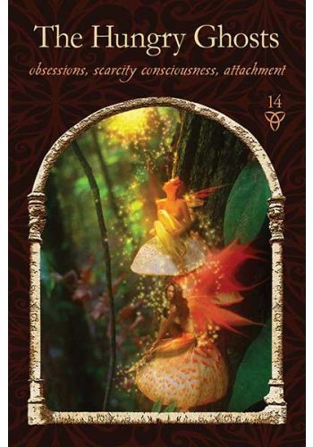 Wisdom of the Hidden Realms Oracle - 44 Cards and Guidebook