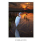 Sacred Destiny Oracle - 52 Cards and Guidebook
