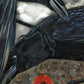 Urban Crow Oracle A 54-Card Deck and Guidebook