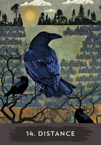 Urban Crow Oracle A 54-Card Deck and Guidebook