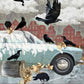 Urban Crow Oracle A 54-Card Deck and Guidebook