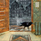 Urban Crow Oracle A 54-Card Deck and Guidebook