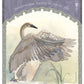 Wisdom of Avalon Oracle - 52 Cards